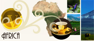 African Coffee