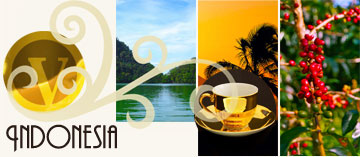 India Coffee  