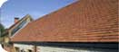 Acme Double Camber Clay Plain Tile 