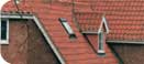 Sandringham Clay Interlocking Tile 